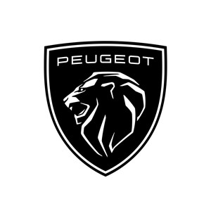 Peugeot-300